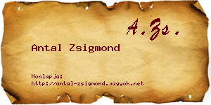 Antal Zsigmond névjegykártya